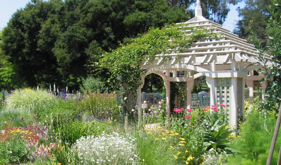 Blooming Beauty: A Stroll Through Elizabeth F. Gamble Garden in Palo Alto, CA