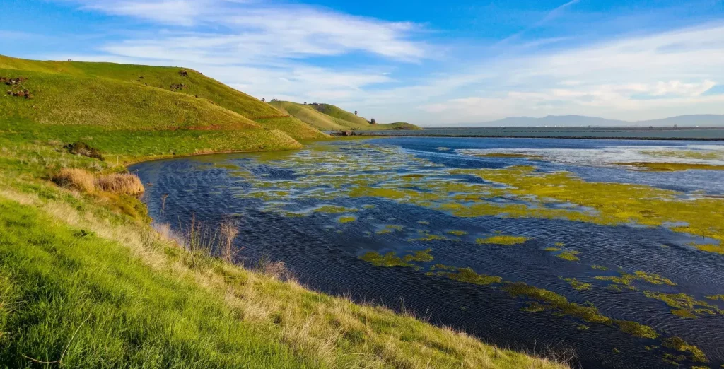 Coyote Hills Regional Park, CA